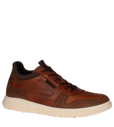 TOMMY BOWE TIMONEY Tommy Bowe Shoes